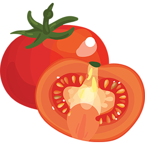 Tomato